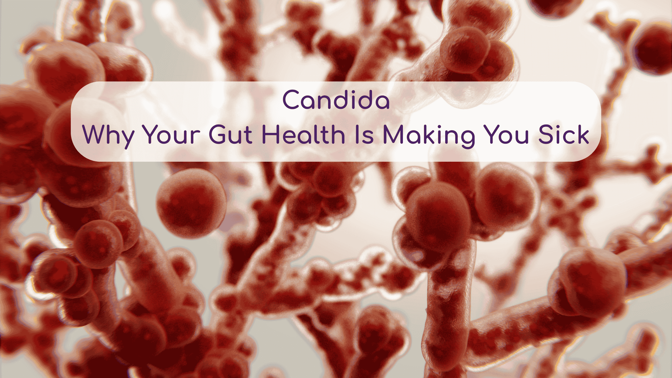 Candida Overgrowth by Linda McClure | Aug 15, 2025 | Candida, Food is Medicine, Health, Hormones | Gut Health | Autoimmune Why Your Gut Health Is Making You Sick?
